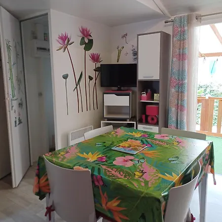 Mobil Dans Familial Chalet